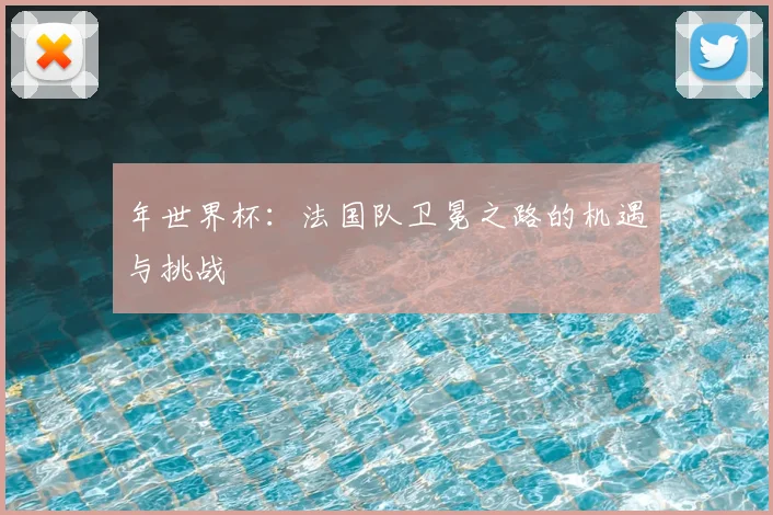 年世界杯：法国队卫冕之路的机遇与挑战